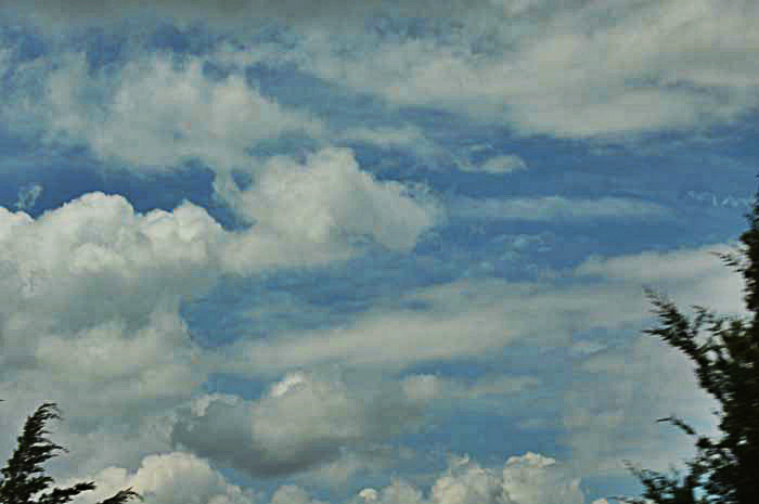 Katherine Jeanne Wood - clouds trees
