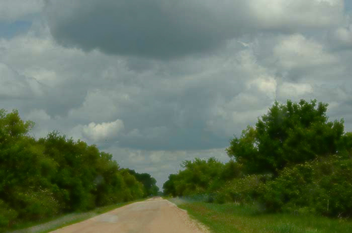 Katherine Jeanne Wood - dirt road