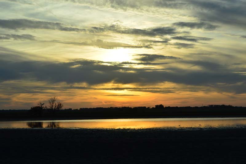 Katherine Jeanne Wood - 1025 sunset reflection in pond