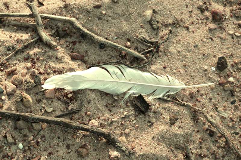 Cheney Lake, KS