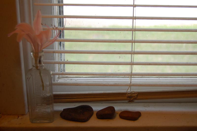 Katherine Jeanne Wood - lily and heart rocks on the kitchen window sill