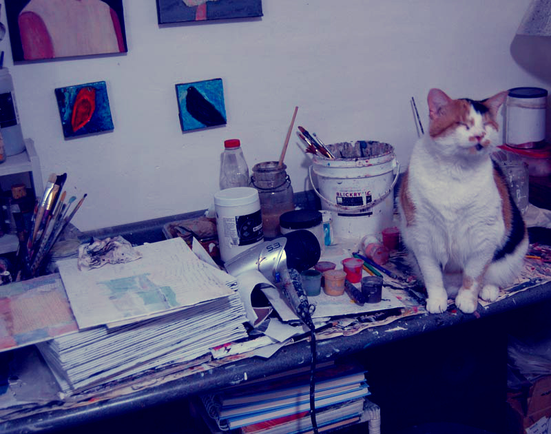Katherine Jeanne Wood - blind kitty in studio
