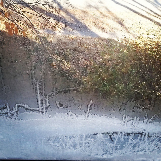 Katherine Jeanne Wood - frost on office window