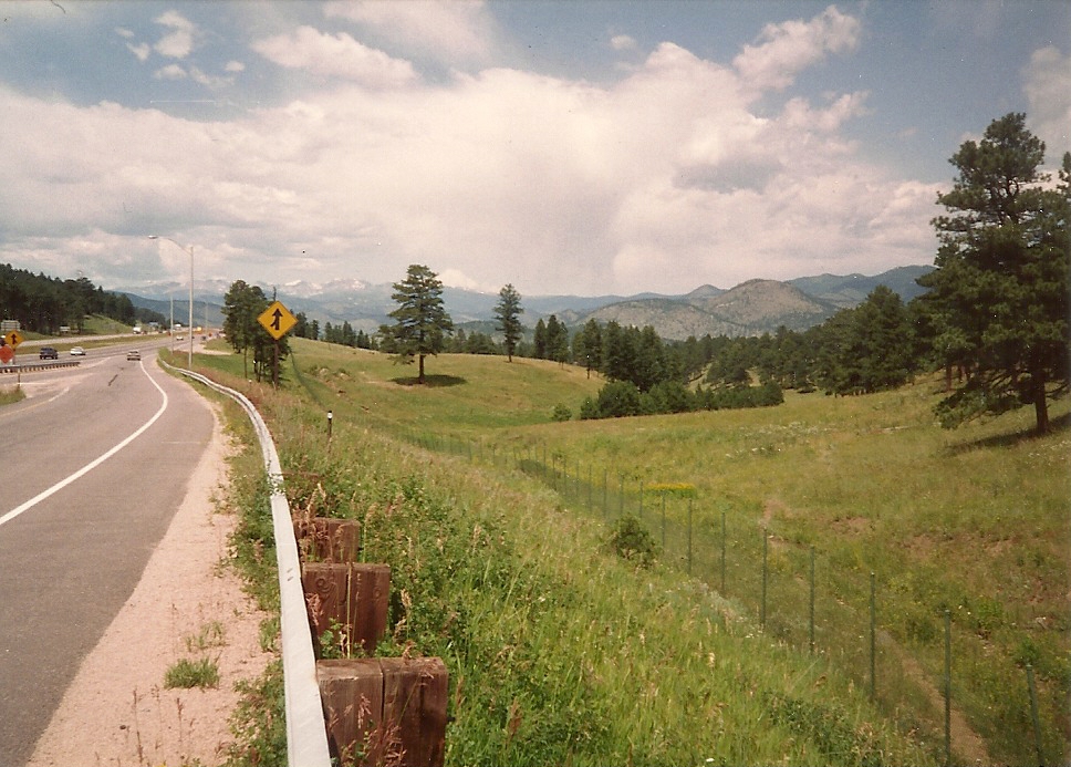 Katie Jeanne Wood - roadside