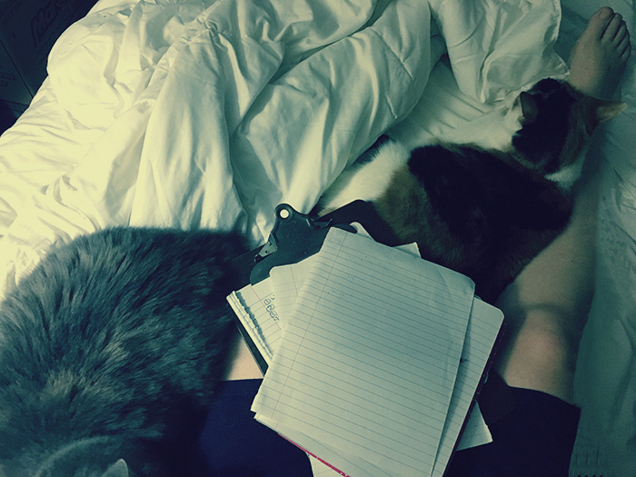 Katie Jeanne Wood - morning writing in bed with the girls