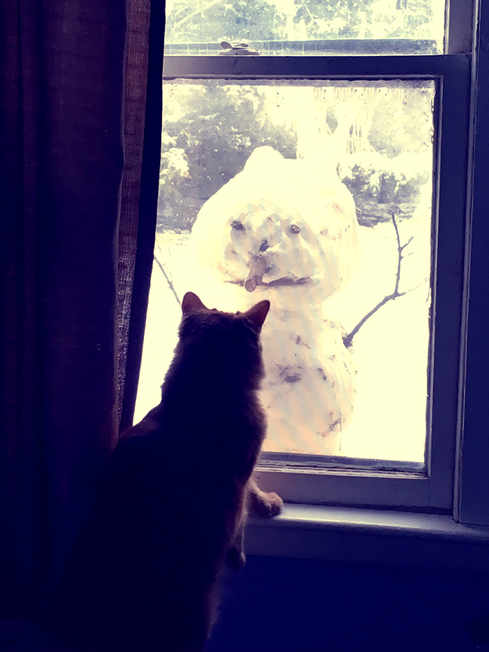 Katie Jeanne Wood - Harold Zippaoo and the peeping tom snowman