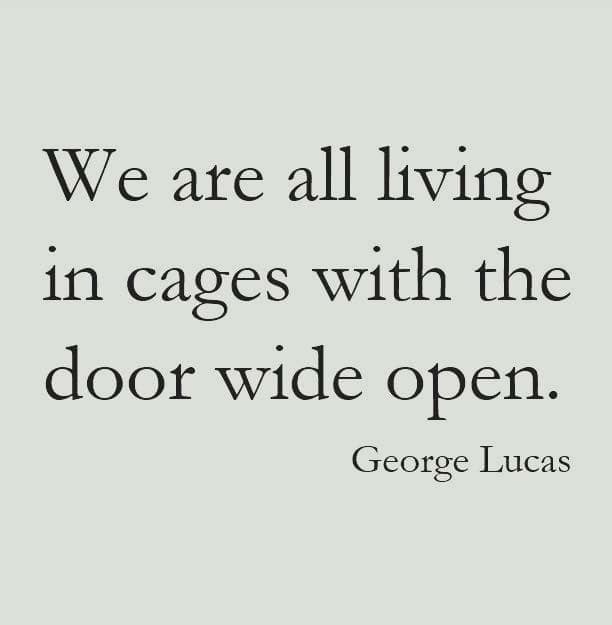 living in cages