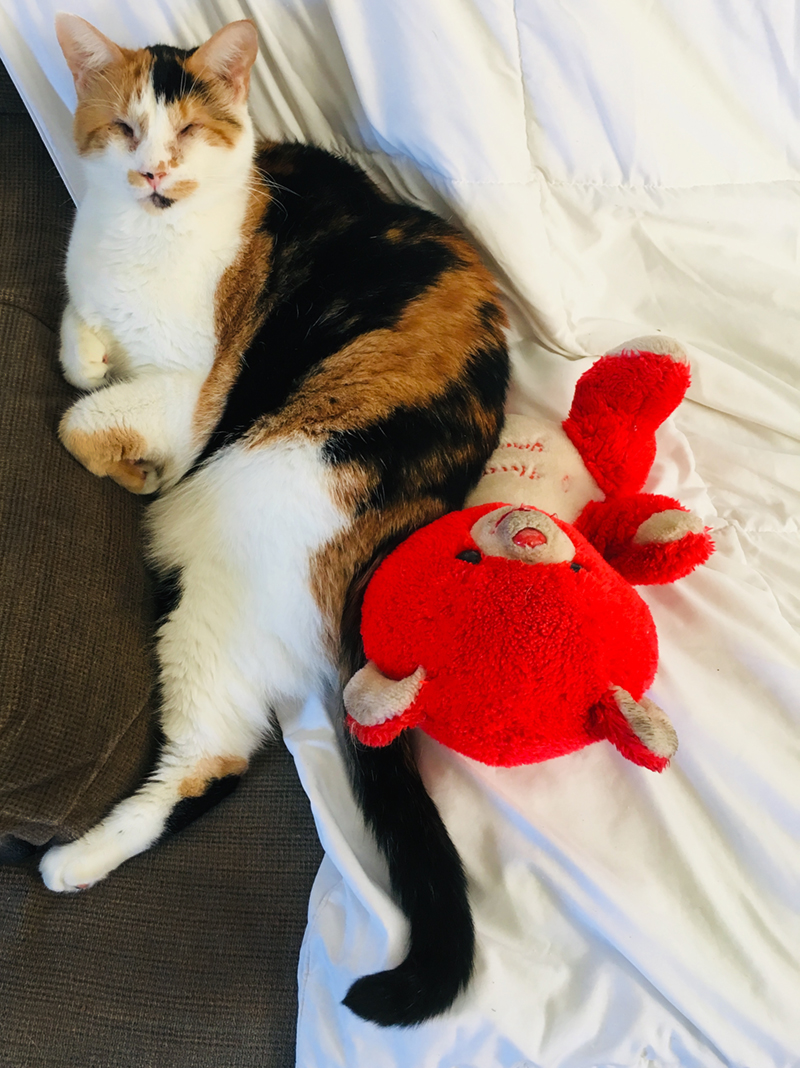 Katie Jeanne Wood - Sweet Pea and her red teddy