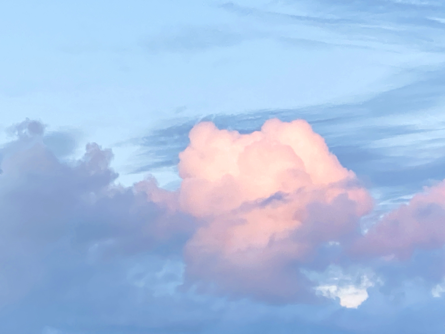 Katie Jeanne Wood - pink cloud