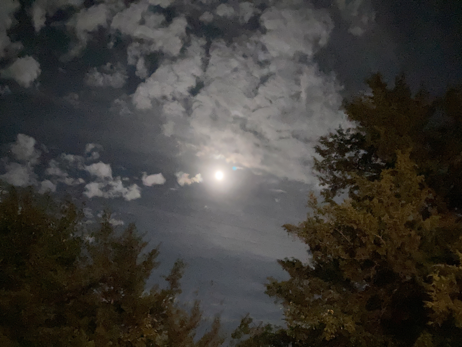 Katie Jeanne Wood - full moon