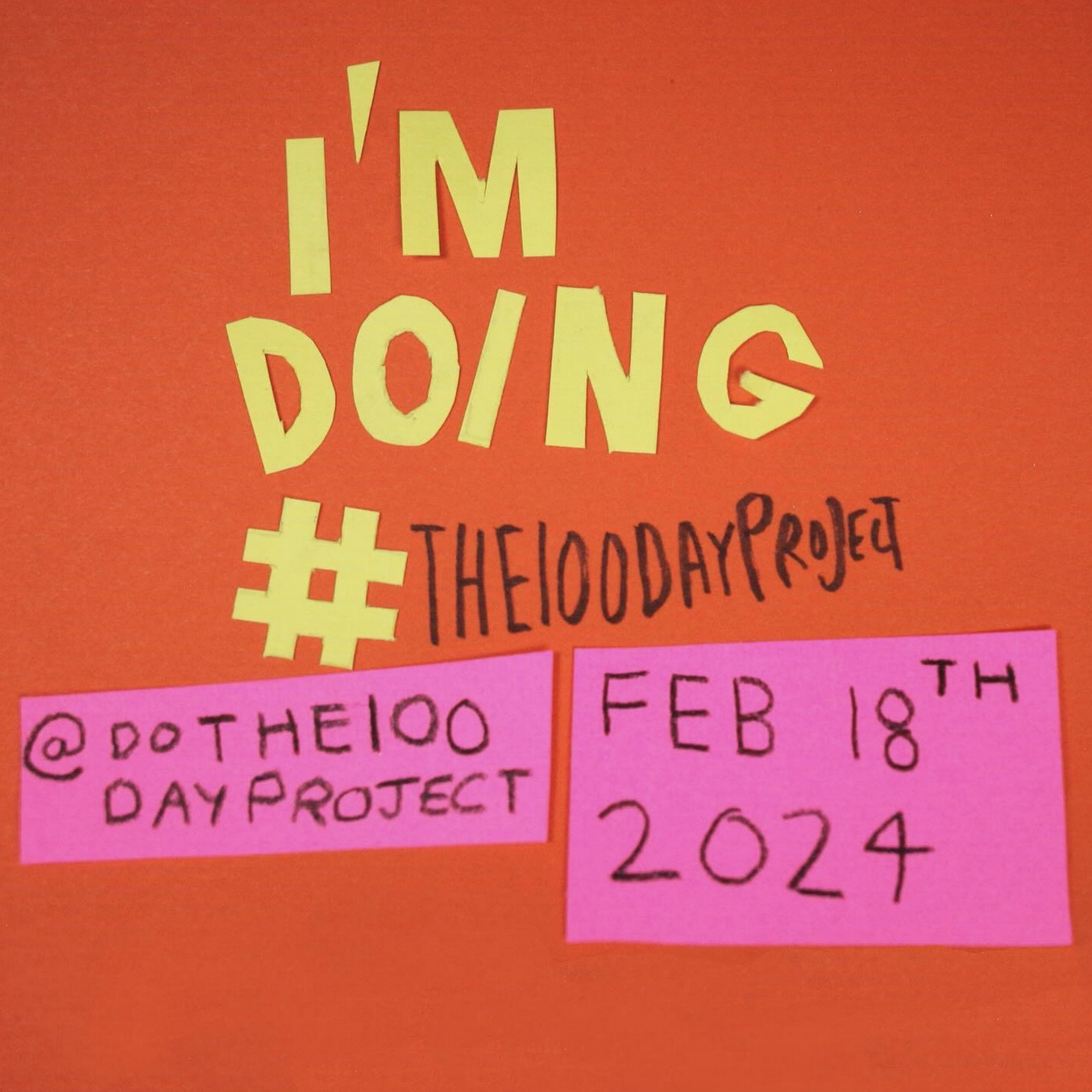 The 100 day project